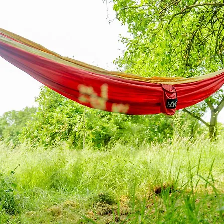 Traeumen Unter Baeumen - Omas Luette Obstbutze Am דירה *
