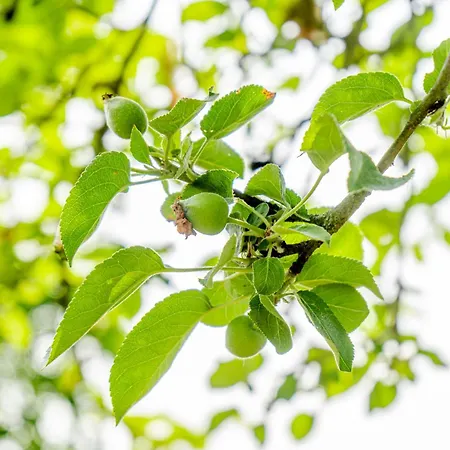 Appartamento Winterruhe Am See, Mit Gemuetlichem Abendfeuer, Purer & Einem Warmen Kachelofen In Omas Luetter Obstbutze *