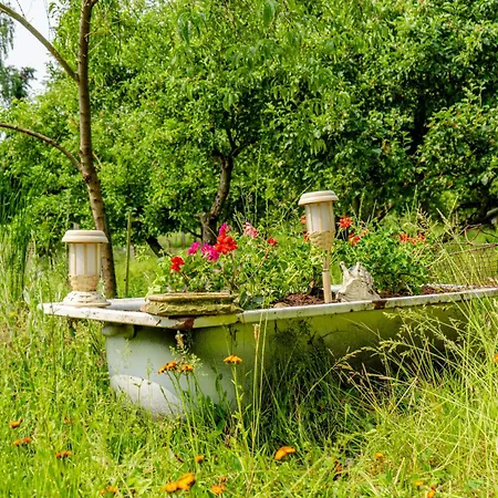Winterruhe Am See, Mit Gemuetlichem Abendfeuer, Purer & Einem Warmen Kachelofen In Omas Luetter Obstbutze *