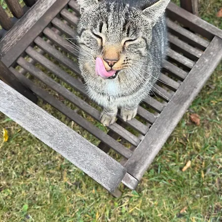 Appartamento Winterruhe Am See, Mit Gemuetlichem Abendfeuer, Purer & Einem Warmen Kachelofen In Omas Luetter Obstbutze Lübstorf