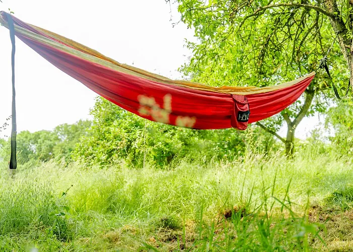 Traeumen Unter Baeumen - Omas Luette Obstbutze Am Daire *