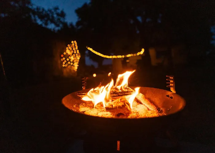 Traeumen Unter Baeumen - Omas Luette Obstbutze Am