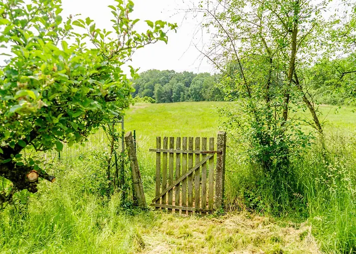 Daire Traeumen Unter Baeumen - Omas Luette Obstbutze Am