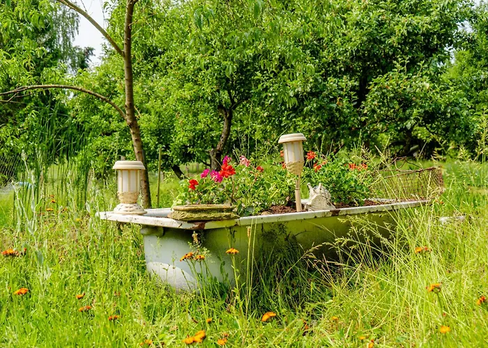 Traeumen Unter Baeumen - Omas Luette Obstbutze Am *