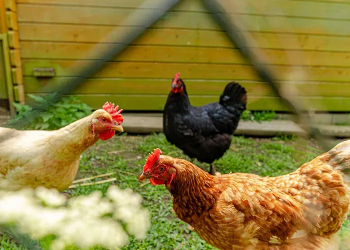 דירה Traeumen Unter Baeumen - Omas Luette Obstbutze Am Lübstorf