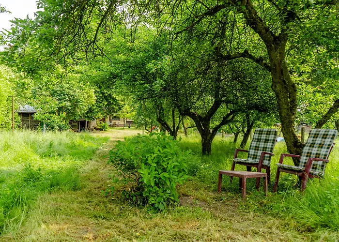 Traeumen Unter Baeumen - Omas Luette Obstbutze Am Daire Lübstorf