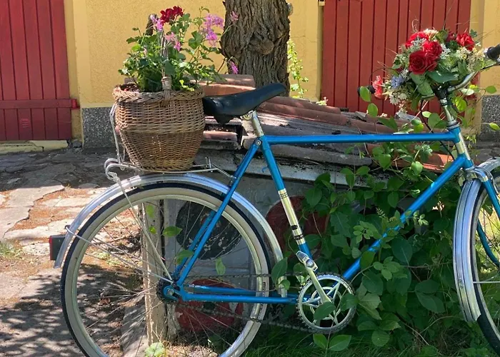 Traeumen Unter Baeumen - Omas Luette Obstbutze Am Daire